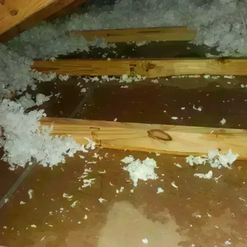 Attic Water Damage in Bradford, PA