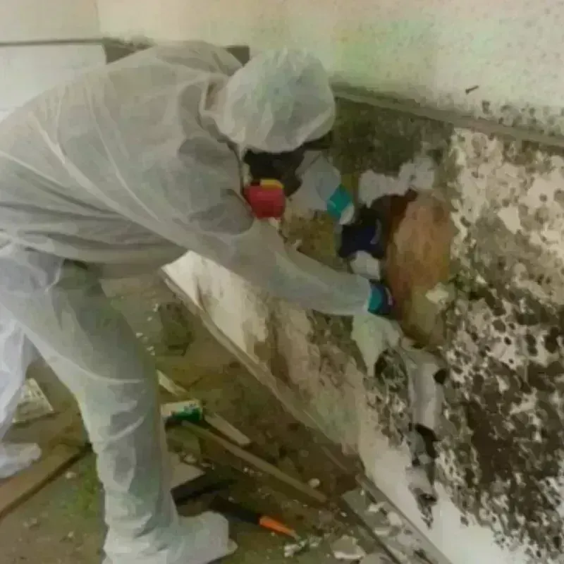 Mold Remediation and Removal in Bradford, PA