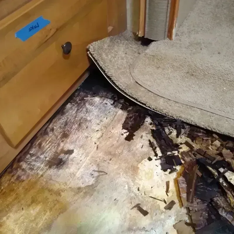 Best Wood Floor Water Damage Service in Bradford, PA